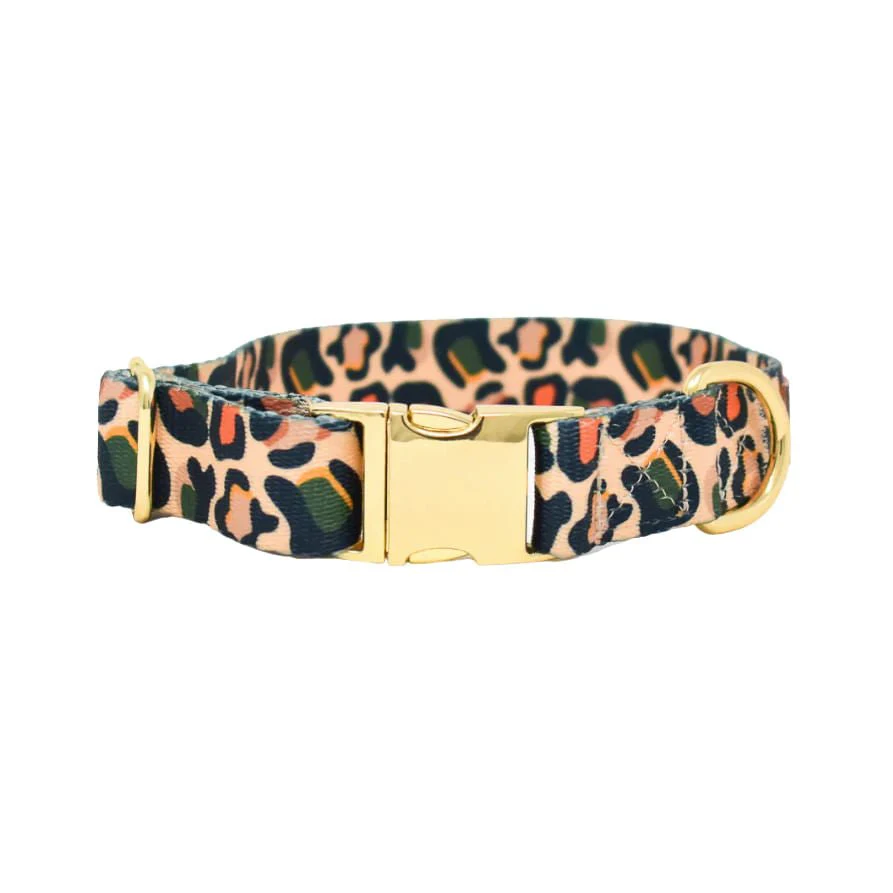 Pink Papyrus Beckett Collar, Leopard - Healthber