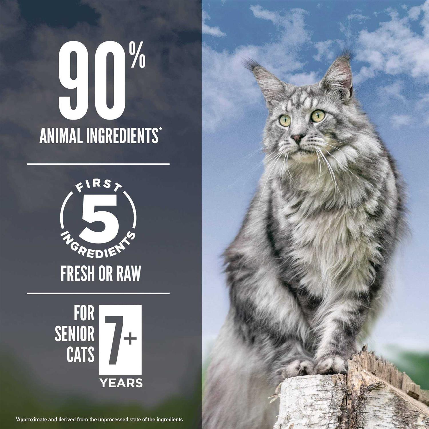 Orijen Guardian Senior 7+ Grain Free Dry Cat Food - Healthber