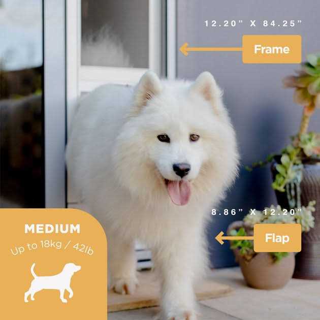 Hakuna Pets Small Silver Patio Pet Door - Healthber