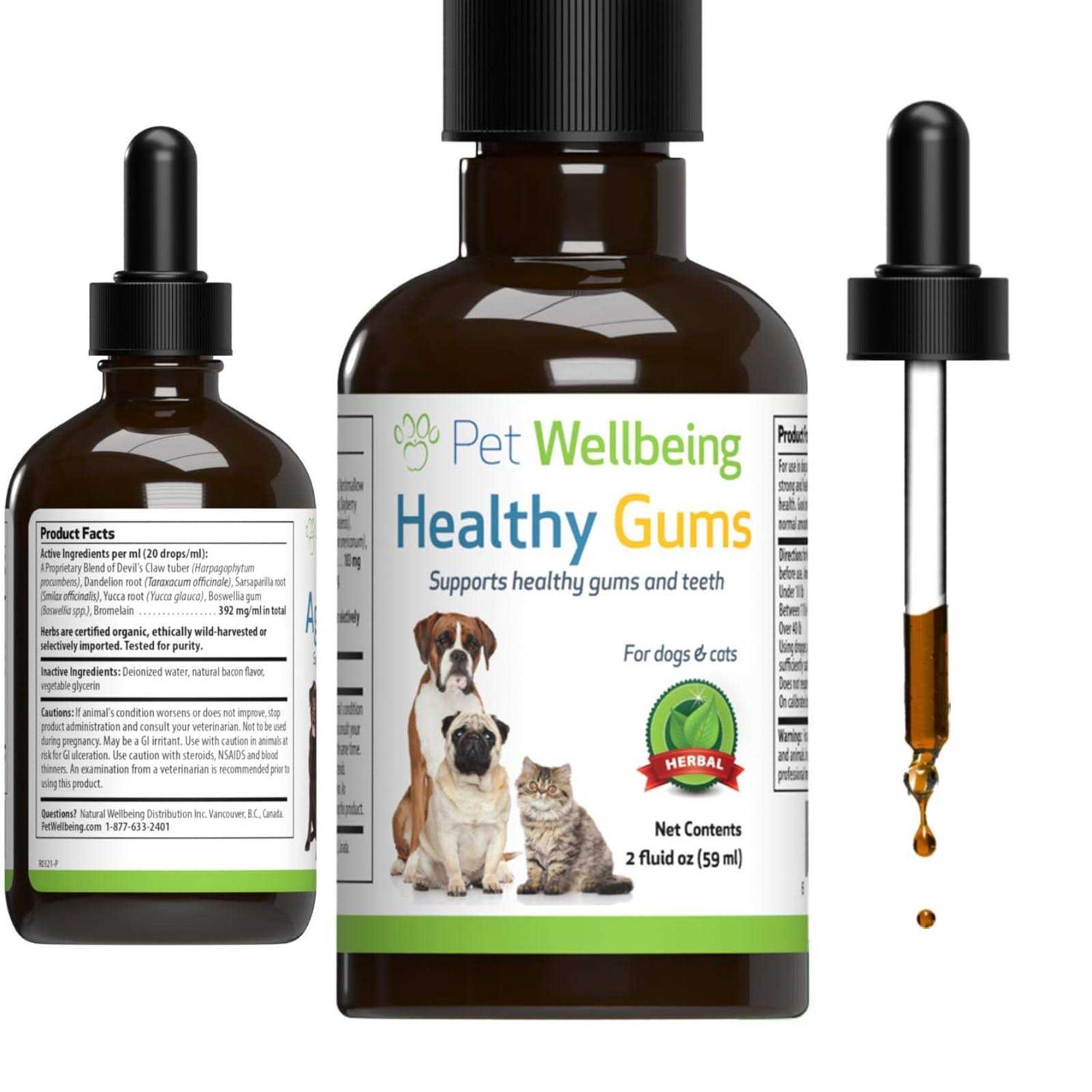 Pet Wellbeing Healthy Gums for Feline Periodontal Health - Healthber