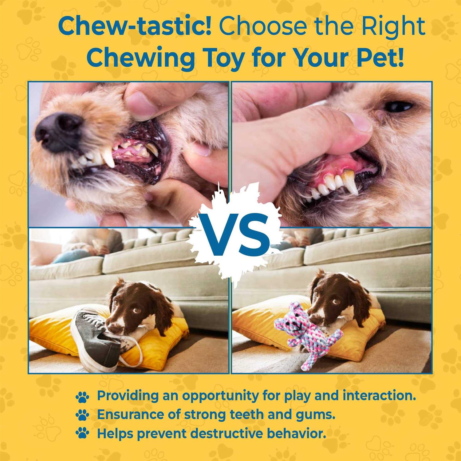 SunGrow Teddy Bear teething Toy, for ferret & dogs, knotted soft cotton rope material, for puppies and Small breeds - Healthber