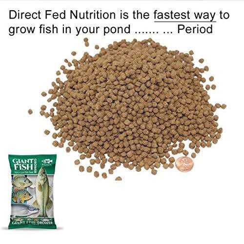 Aquatic Nutrition Giant Fish Grower - Healthber