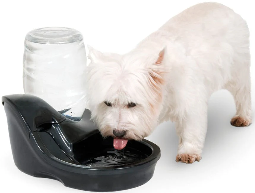 UV Light Infinity Water Purifying Fountain - Healthber