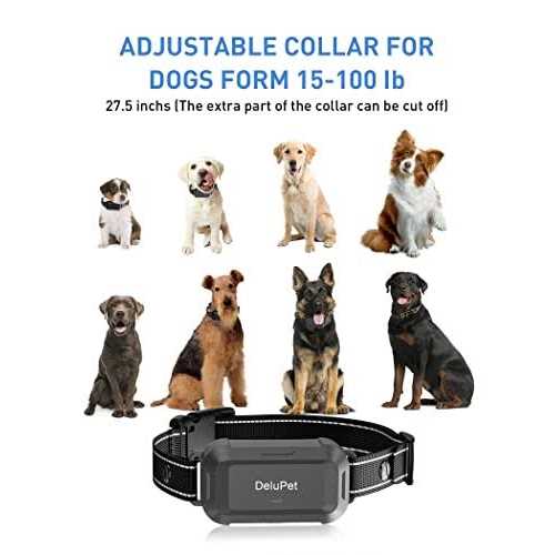 delupet Dog Training Collar Dogs Shock Collar with Remote 2600FT - Healthber