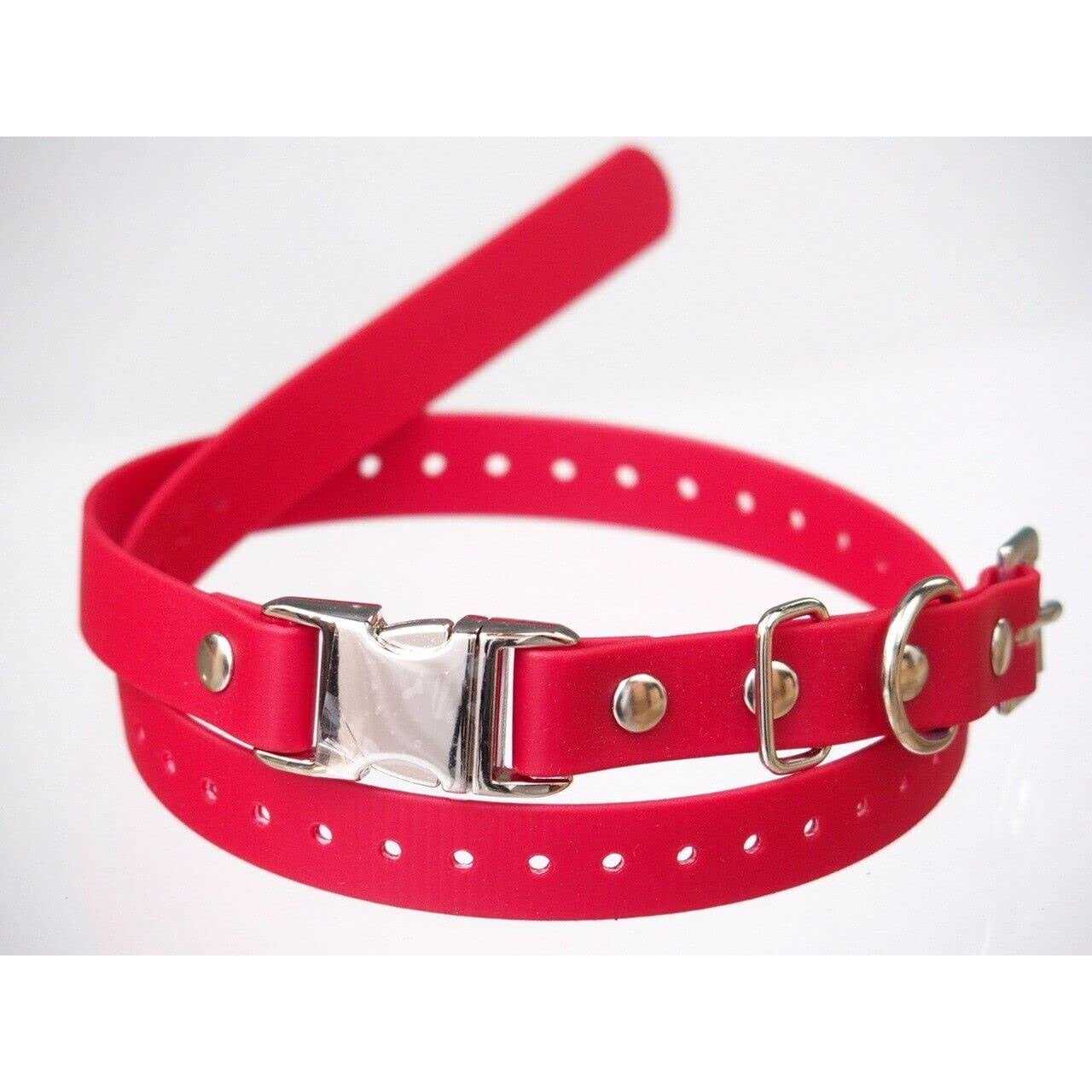 E-Collar Technologies 3/4 Width - Healthber