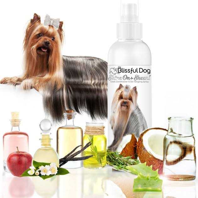 The Blissful Dog Shine-On + Sheen Coat Spray, All Natural, Leave-in Conditioner and Coat Detangler for Your Dog - Healthber