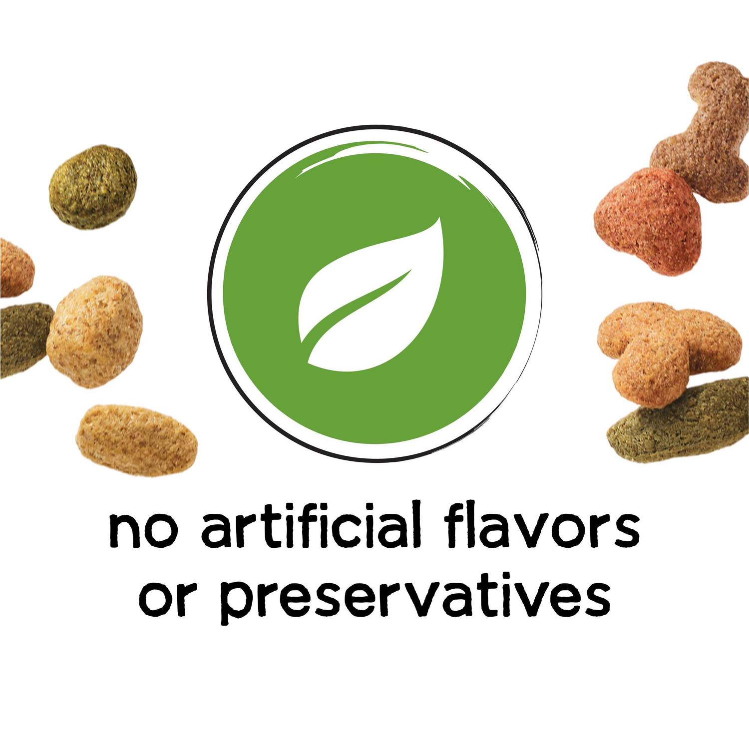 Purina Beneful Healthy Weight Dry Dog Food Chicken - Healthber