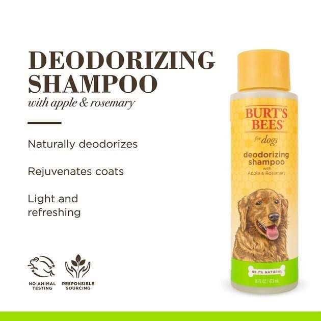 Burt’s Bees Shampoo - Healthber