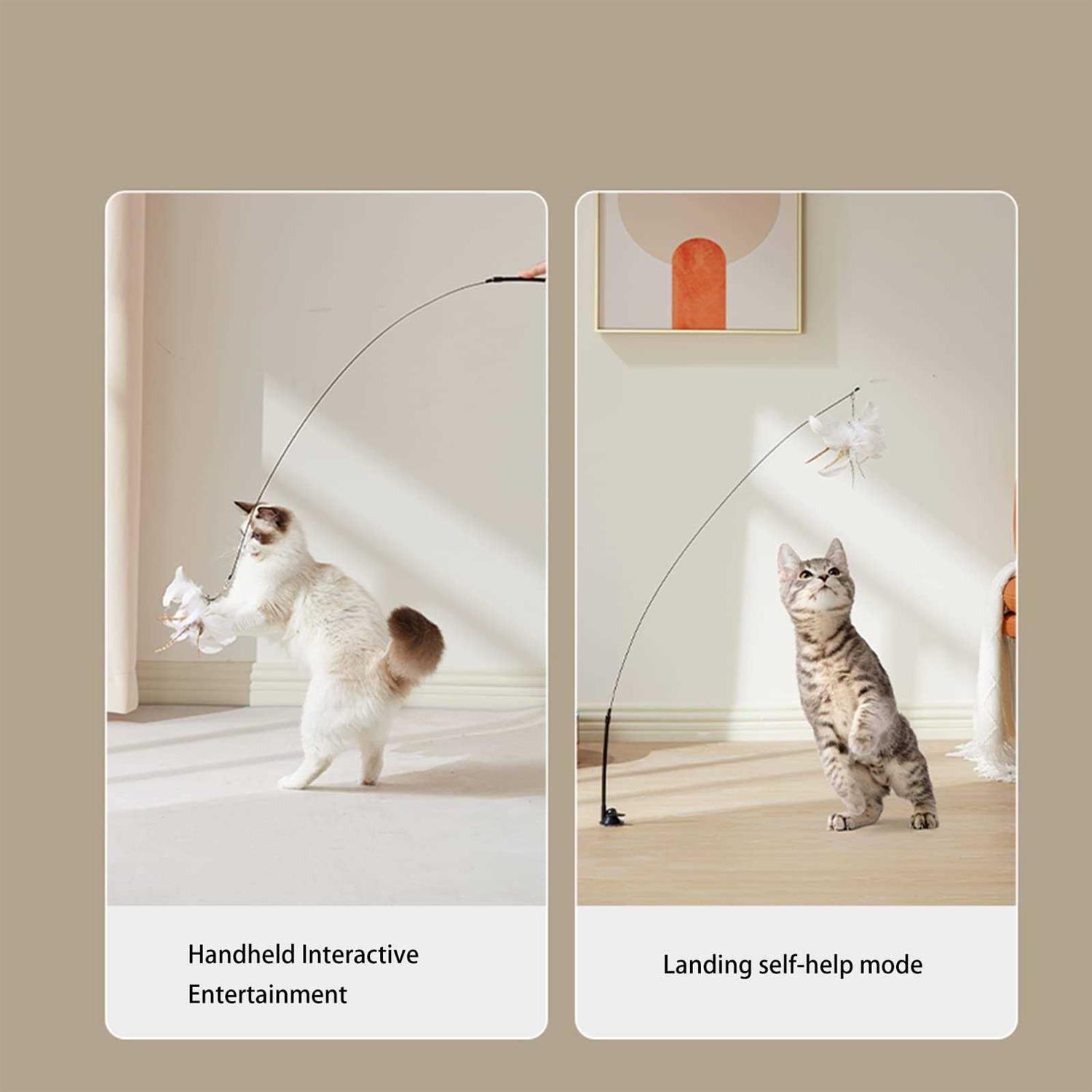 TINGIC Cat Toy Wand Auto Interactive Toys for Indoor Cat 6 in 1 Hands-Free Natural Bird Feather Ball Toys - Healthber