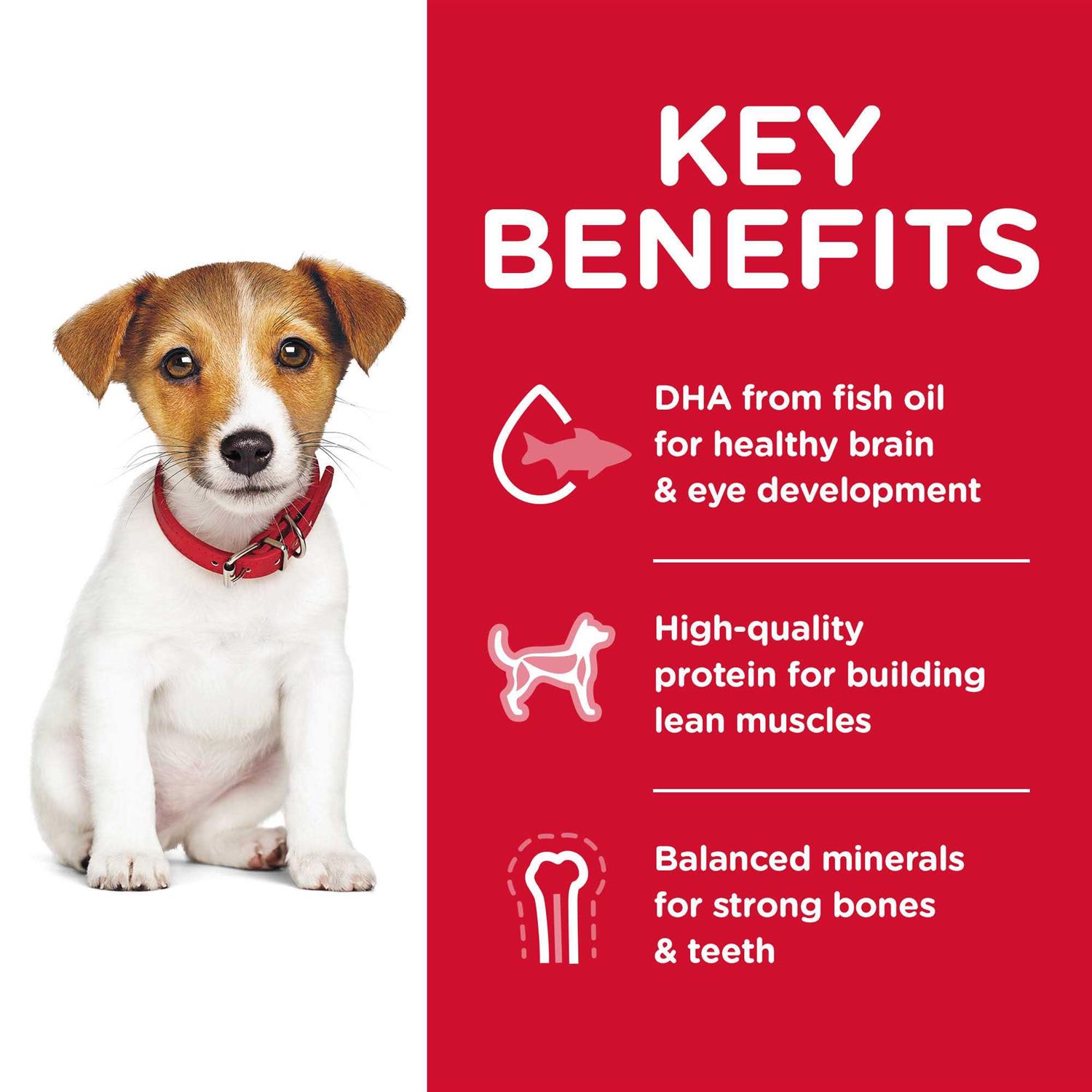 Hill’s Science Diet Puppy Small Bites Chicken Meal & Barley Recipe Dry Dog Food - Healthber