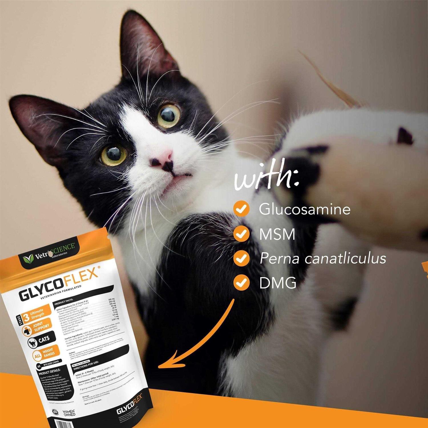 GlycoFlex 3 Feline - Healthber