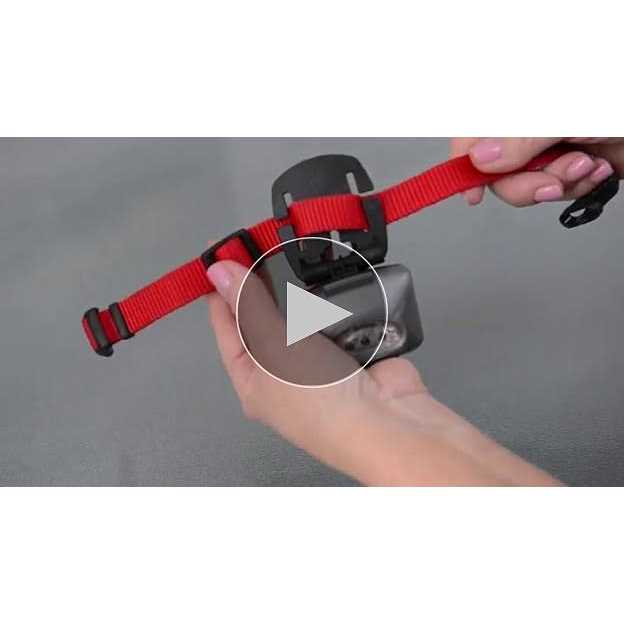 PupLight Dog Safety Light Version 2 - Healthber