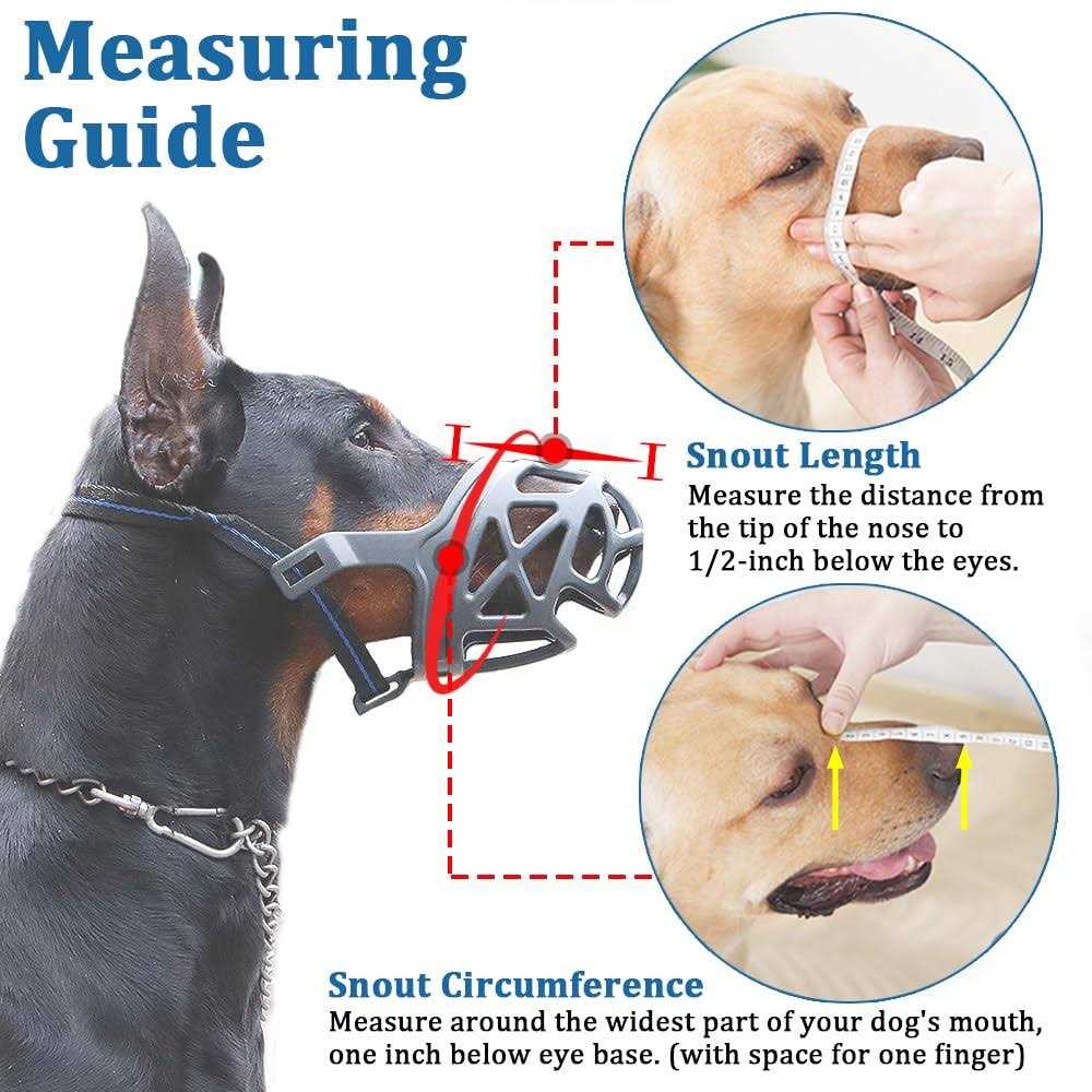 Mayerzon Dog Muzzle, Breathable Basket Muzzles for Small, Medium, Large and X-Large Dogs Biting, Barking and Chewing - Healthber