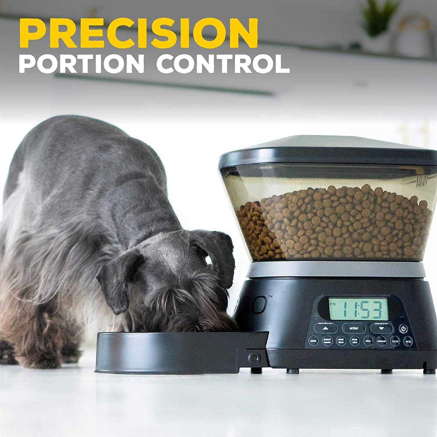 Gamma2 Nano Programable Automatic Pet Feeder - Healthber