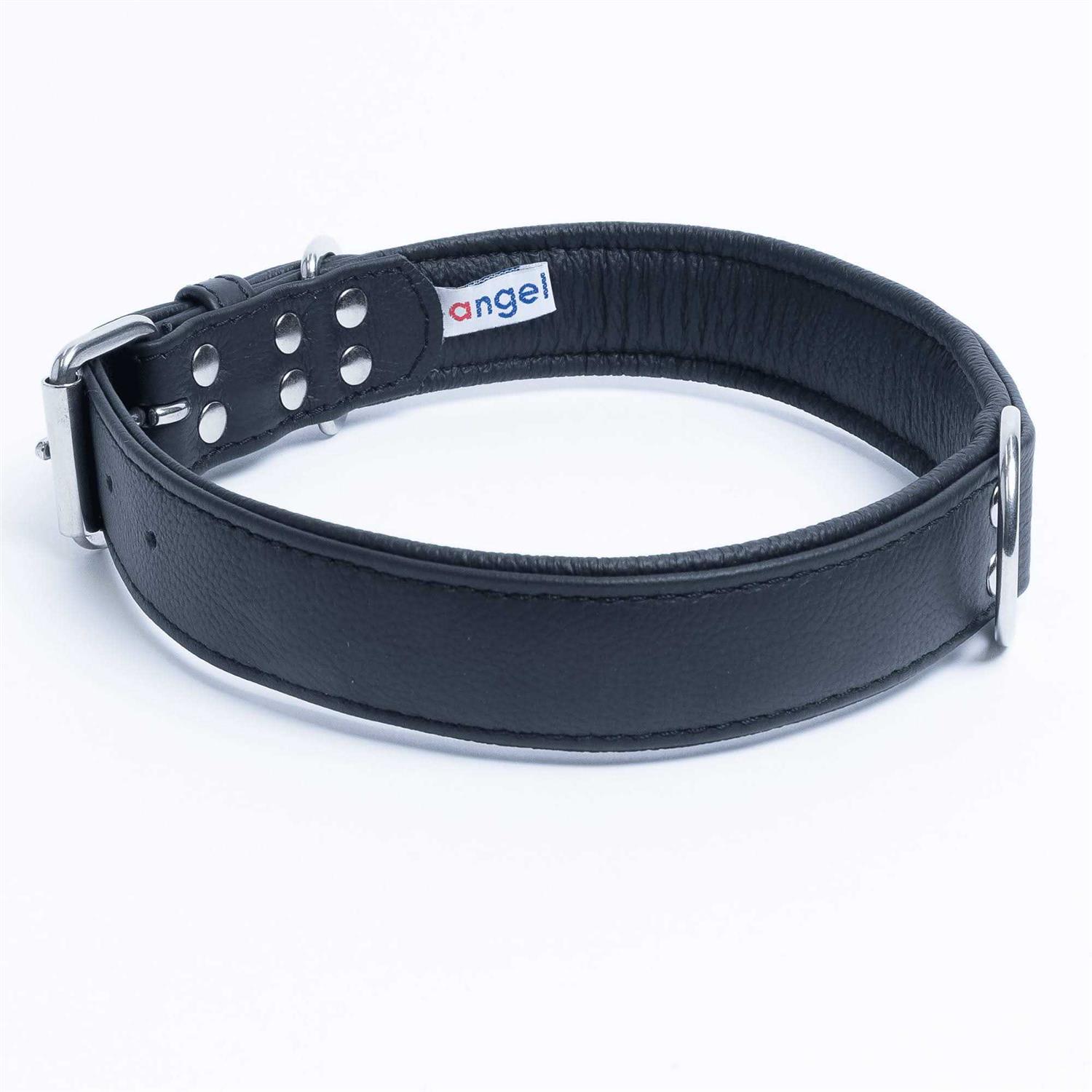 Alpine Dog Collar - Healthber