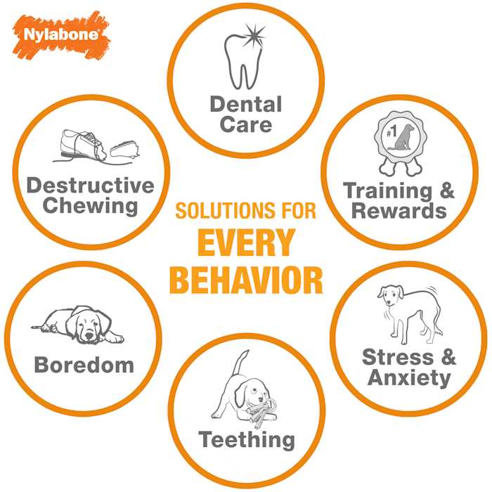 Nylabone Puppy Starter Kit - Healthber