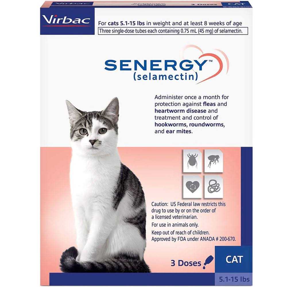 Senergy Topical for Cats 5.1 15 lbs - Healthber