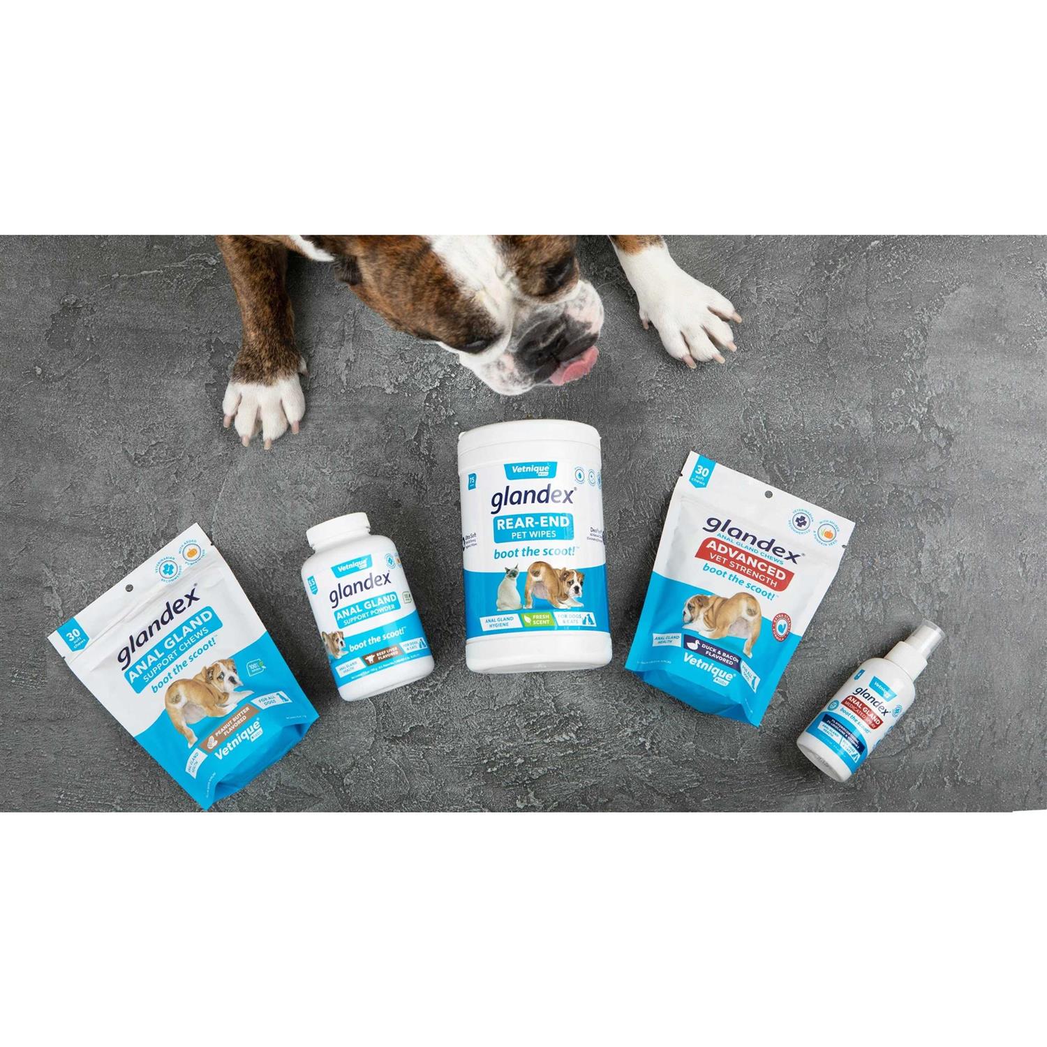 Glandex Anal Gland Support Powder for Dogs & Cats - Healthber