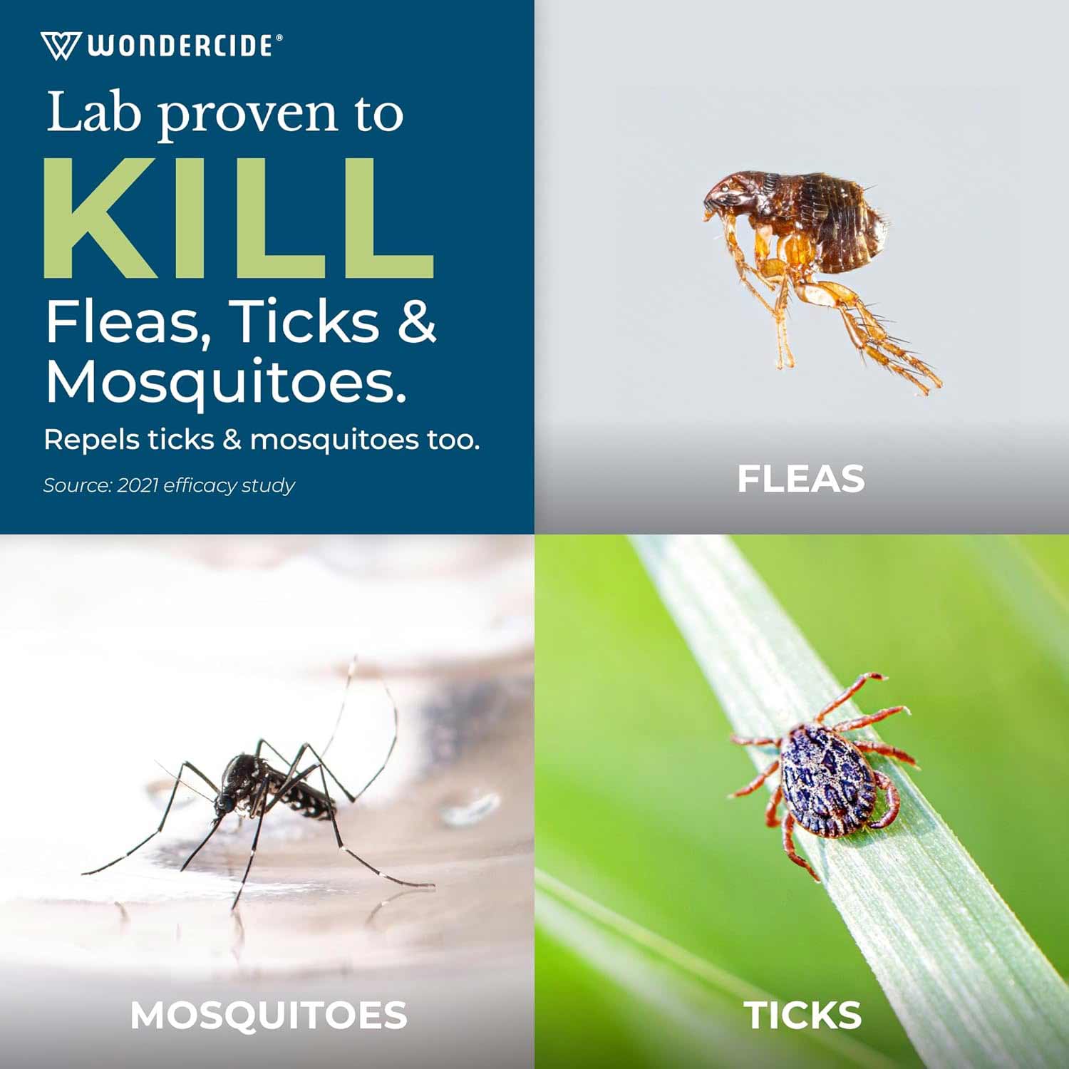 Wondercide Flea, Tick & Mosquito Control Concentrate for Yard + Garden - Healthber