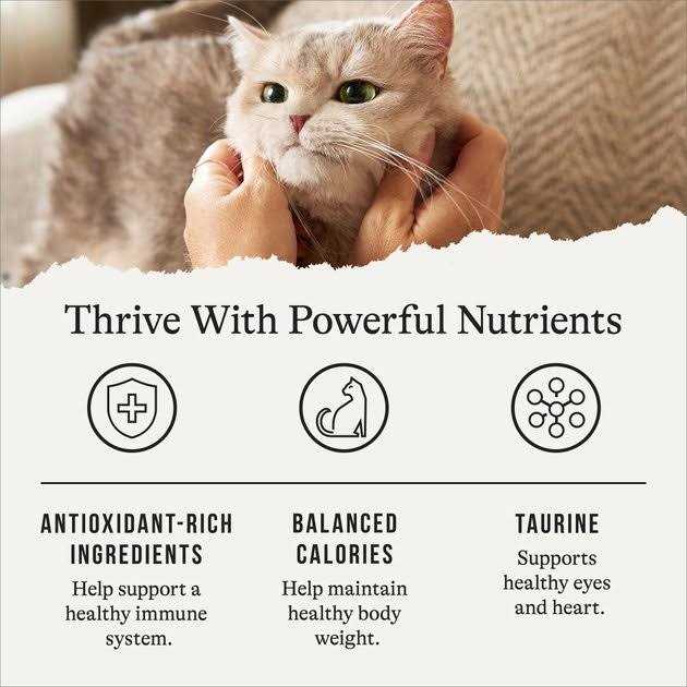 American Journey Recipe Salmon Grain-Free Dry Cat Food - Healthber