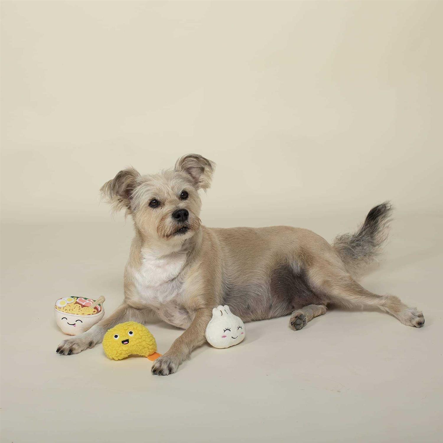 Fringe Studio Plush Dog Toy Set Soy Into You - Healthber