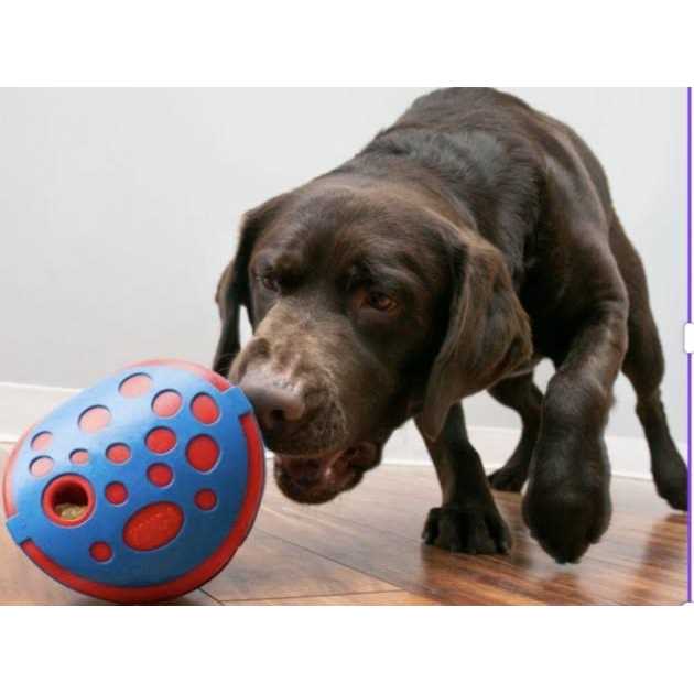 JW Pet Hol-ee Giggler Dog Toy - Healthber