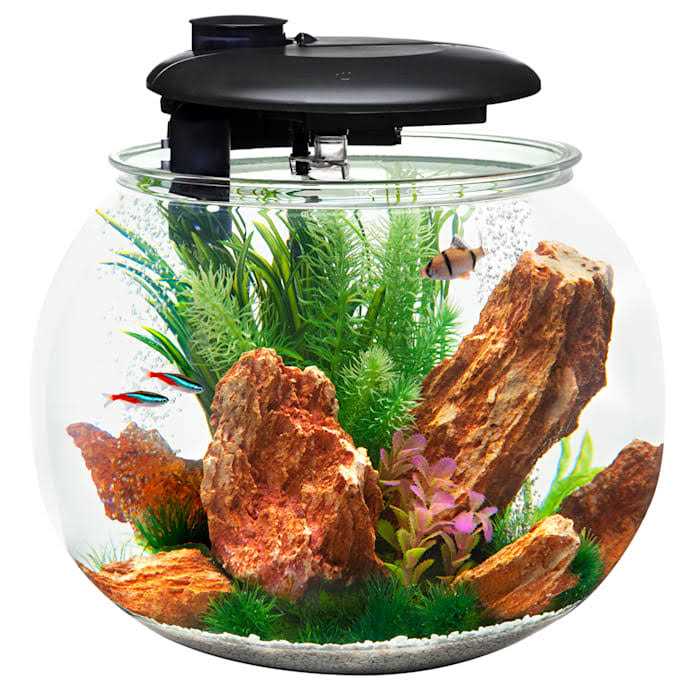Penn-Plax AquaSphere 360 Polycarbonate Bowl-Shaped Aquarium 24 Gallons - Healthber