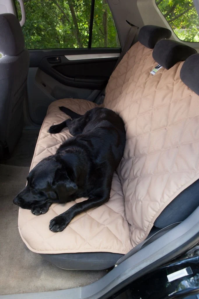 Back Seat Protector for Dogs, Large - Healthber
