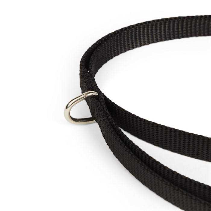 YOULY Dog Lead - Healthber