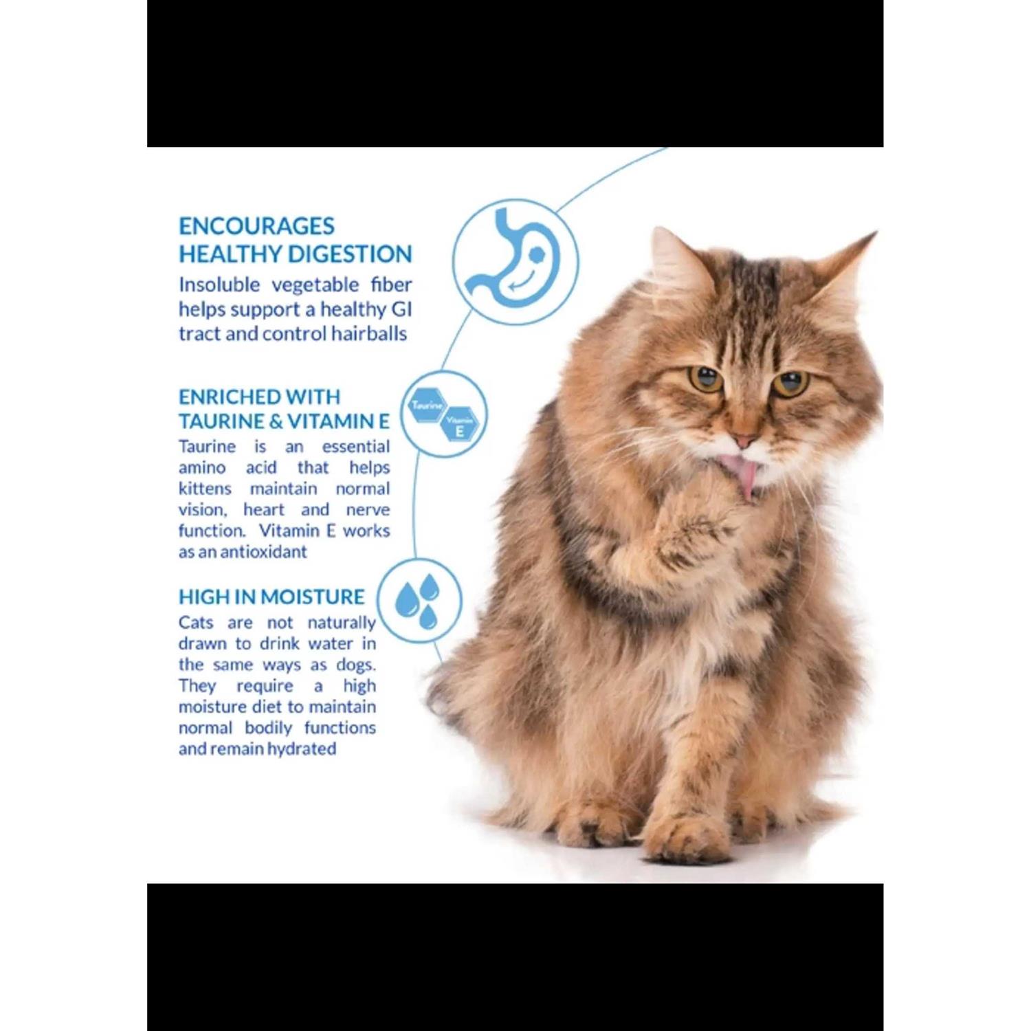 Inaba Churu Hairball Control Cat Treat Chicken - Healthber