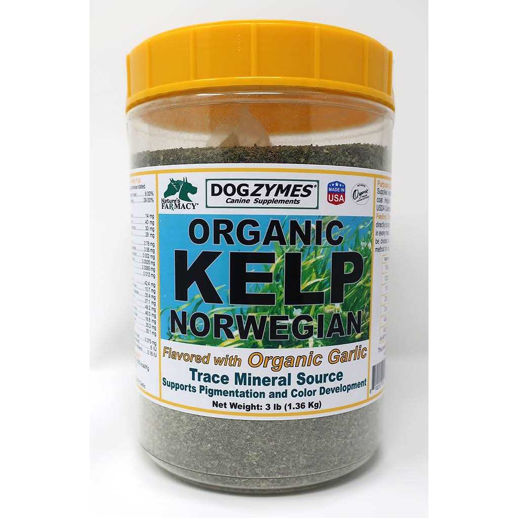 Dogzymes Organic Norwegian Kelp with Organic Garlic - Healthber