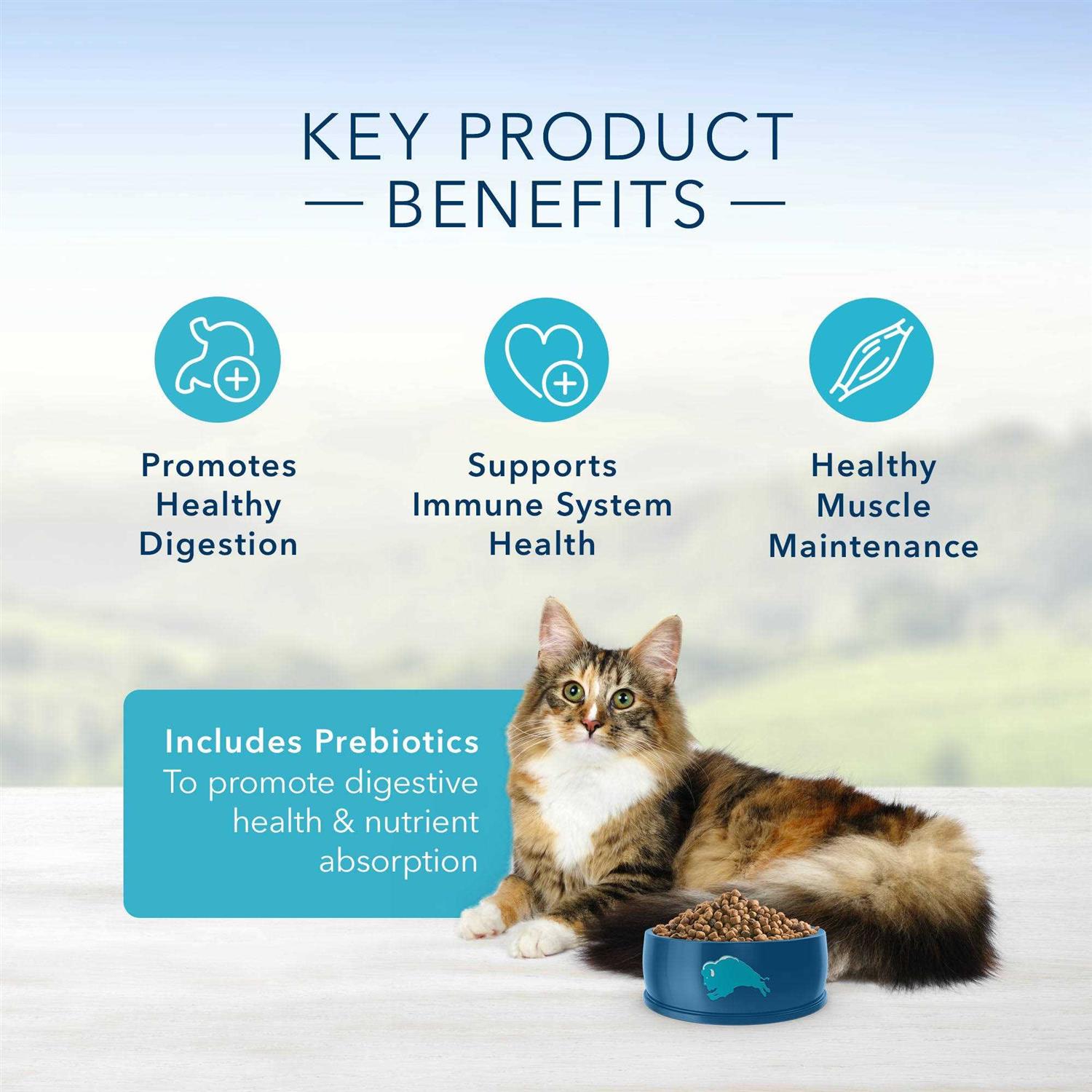 Blue Sensitive Stomach Adult Cat Dry Food - Healthber