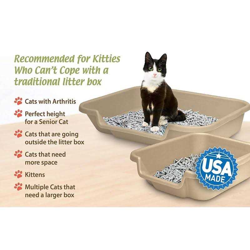 Kitty Go Here Senior Cat Litter Box - Healthber