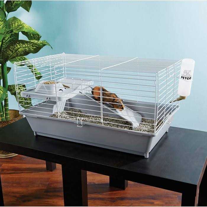 You & Me Guinea Pig Starter Kit - Healthber