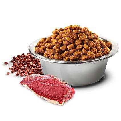 Farmina N&D Quinoa Digestion Lamb - Healthber