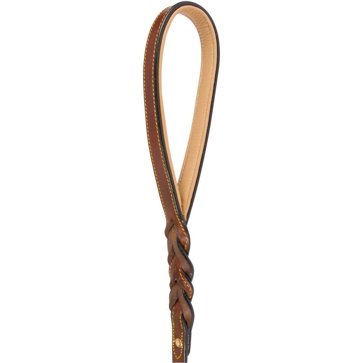Soft Touch Collars Leather Braided Dog Leash - Healthber