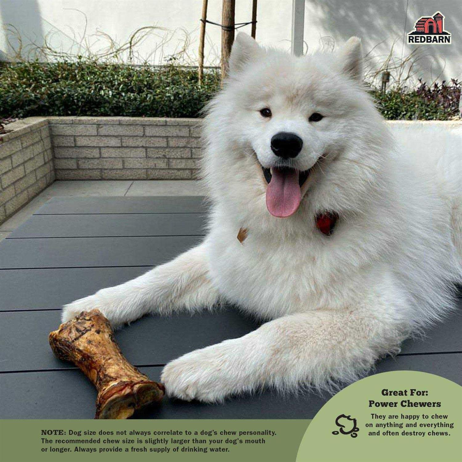 Redbarn Large Meaty Dog Bone - Healthber