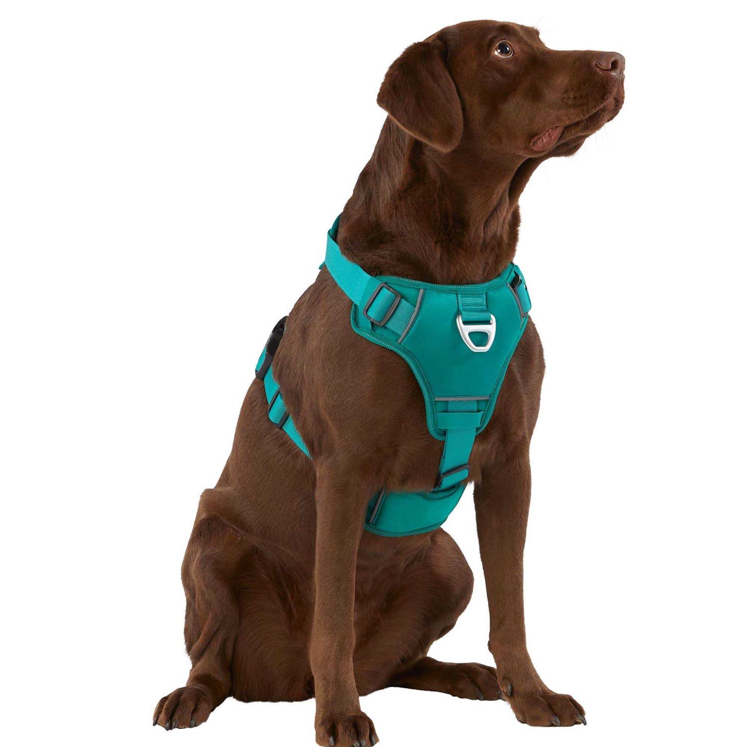 Arcadia Trail Neoprene Dog Harness - Healthber