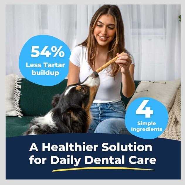 Tartar Shield Soft Rawhide Chews Dogs - Healthber