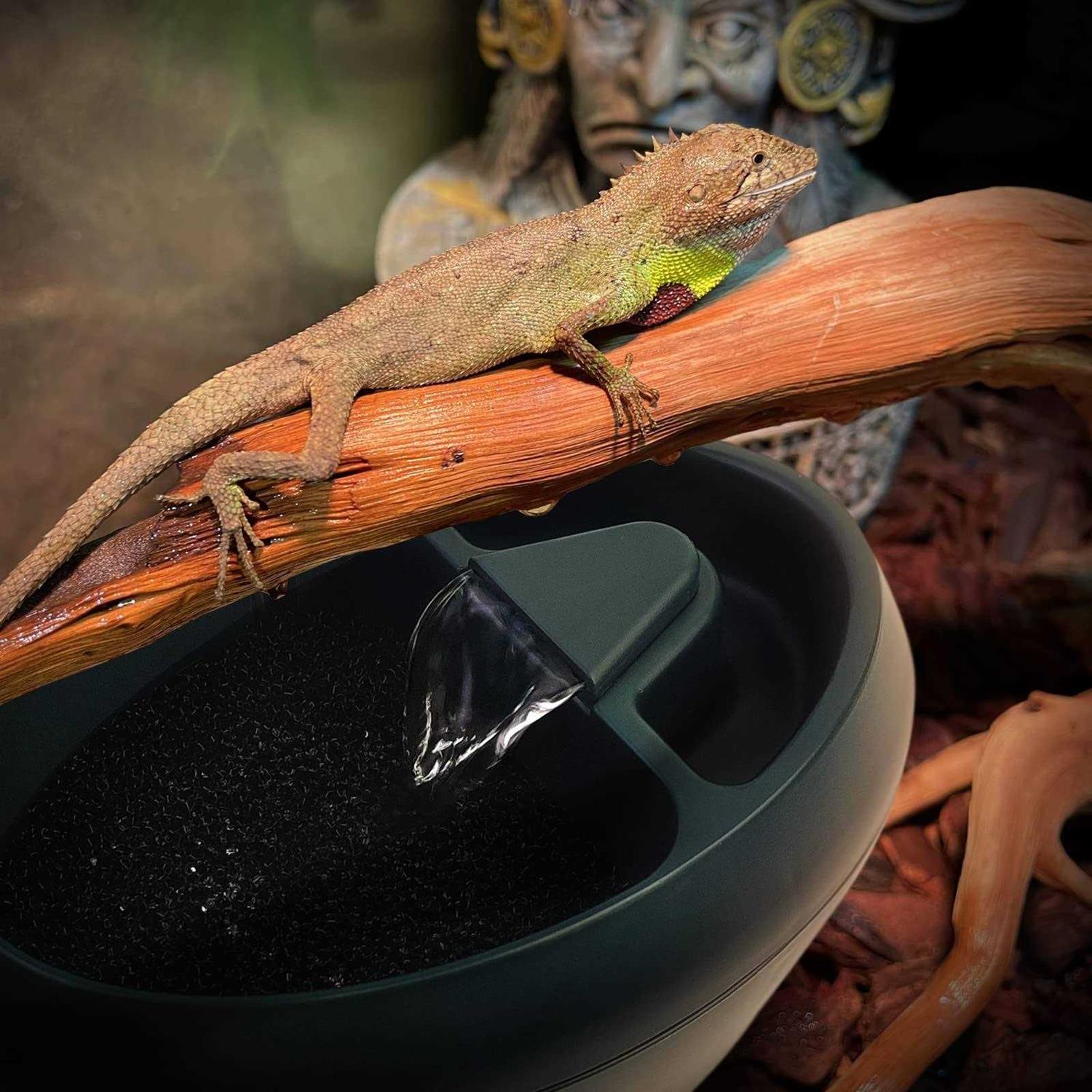 MYGIIKAKA Reptile Drinking Water Fountain Chameleon Accessories Automatic Circulation System with Trough - Healthber