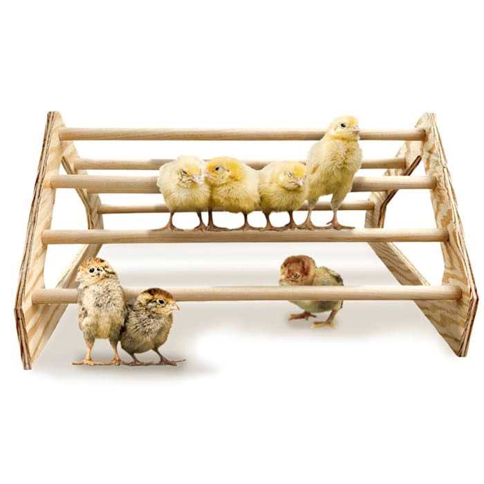 Backyard Barnyard Chick Perch Roosting Bar Toy for Chicks Brooder Box Made in USA - Healthber