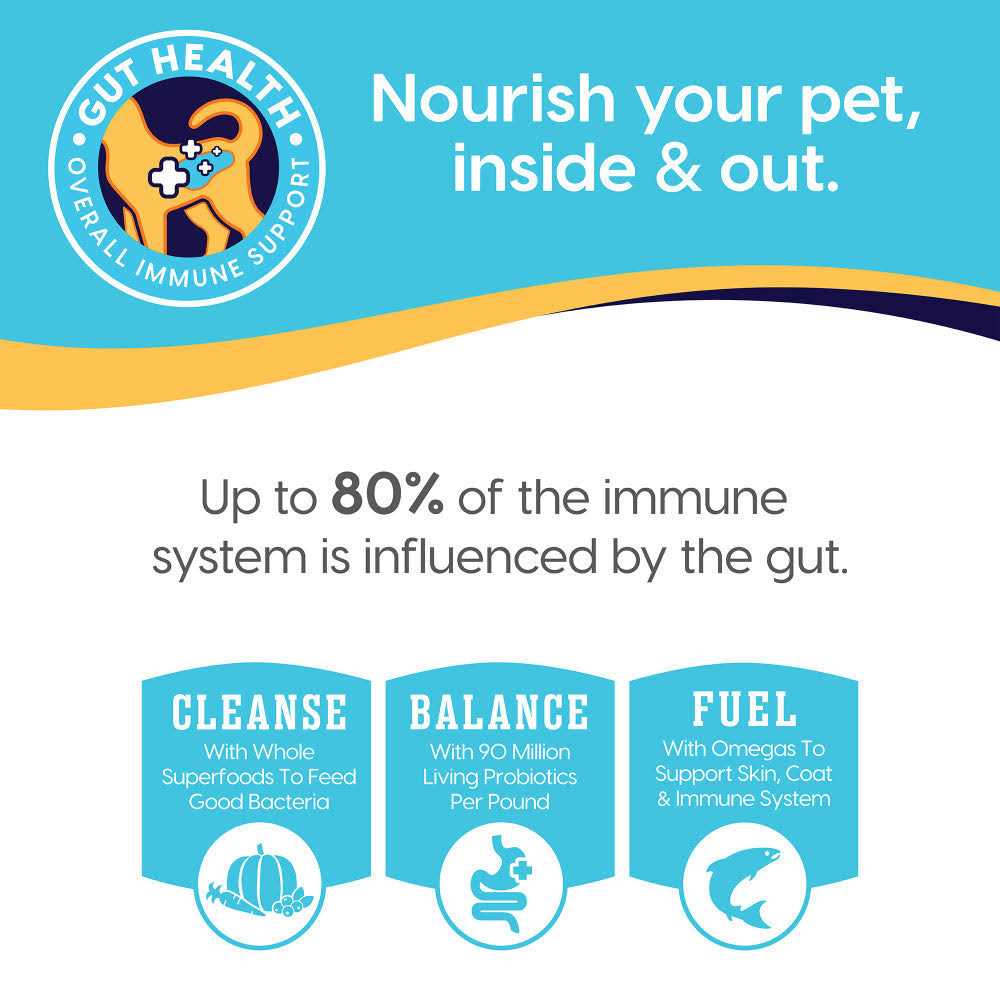 Solid Gold Nutrientboost Fit & Fabulous Chicken Dry Dog Food - Healthber