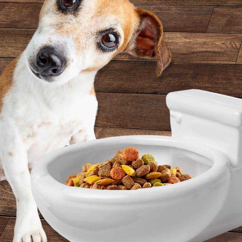 Kwirkworks Toilet Bowl pet Bowl - Healthber
