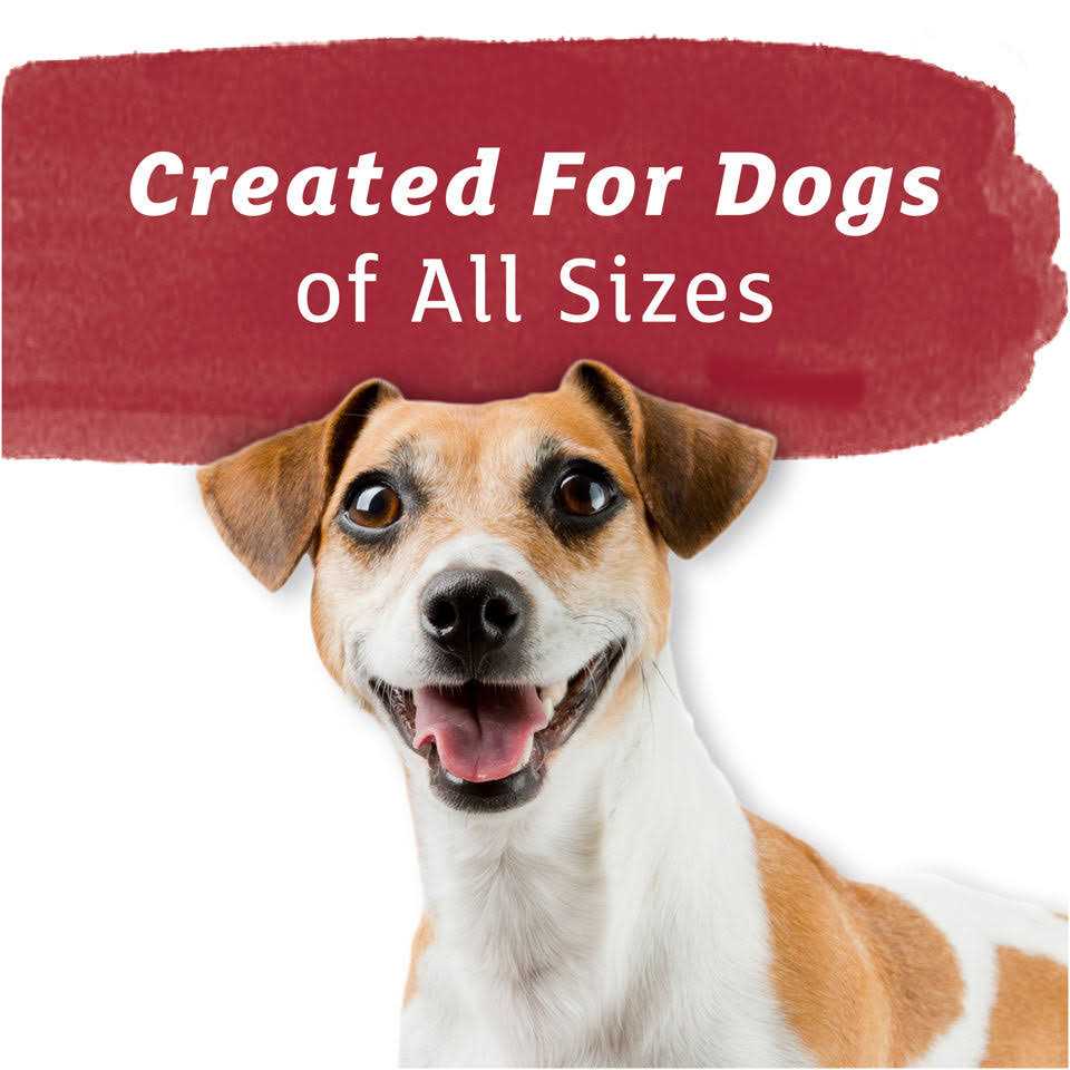 Purina Beneful Baked Delights Hugs Dog Treats - Healthber