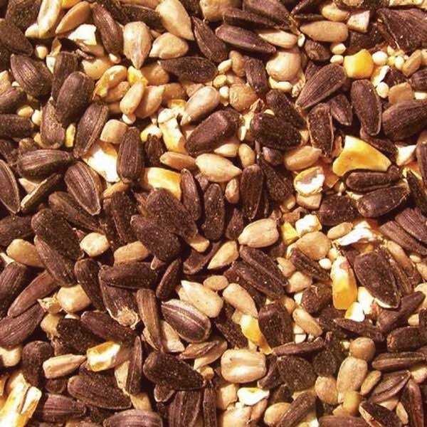 Cole’s BH05 Blazing Hot Blend Bird Seed - Healthber