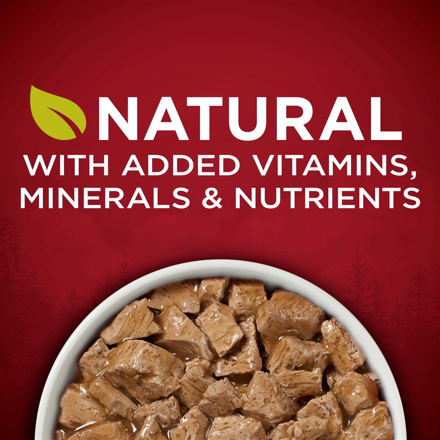 Purina ONE Smartblend Real Turkey & Venison True Instinct Wet Dog Food Can - Healthber