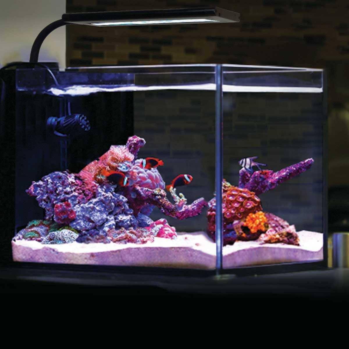 Current USA Orbit Marine NANO LED Light w/Gooseneck Mount & Dynamic Controller - Healthber