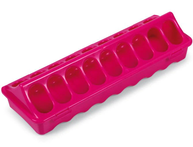Ground Chicken Feeder, Medium - Healthber