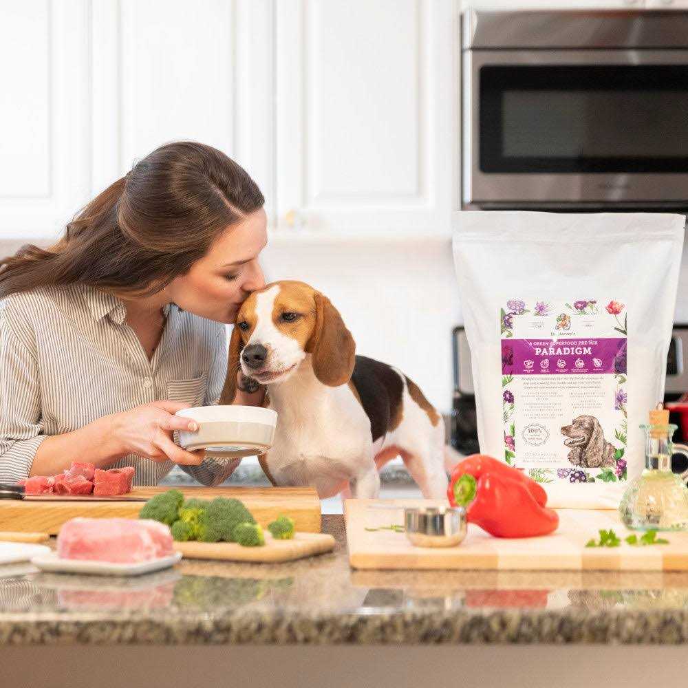 Dr. Harvey’s Paradigm Superfood Pre-Mix Dog Food - Healthber