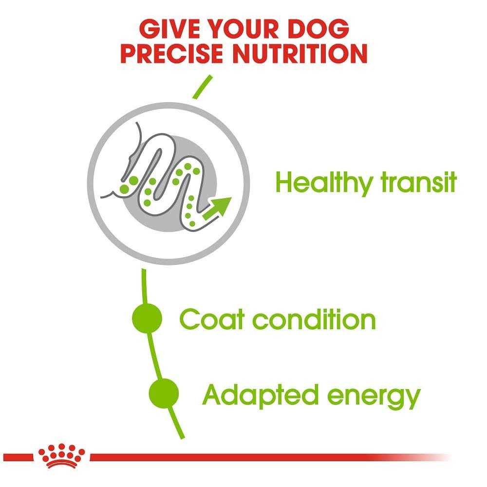 Royal Canin Size Health Nutrition X-Small Adult Dry Dog Food - Healthber